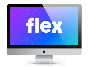 Shopify Flex Theme